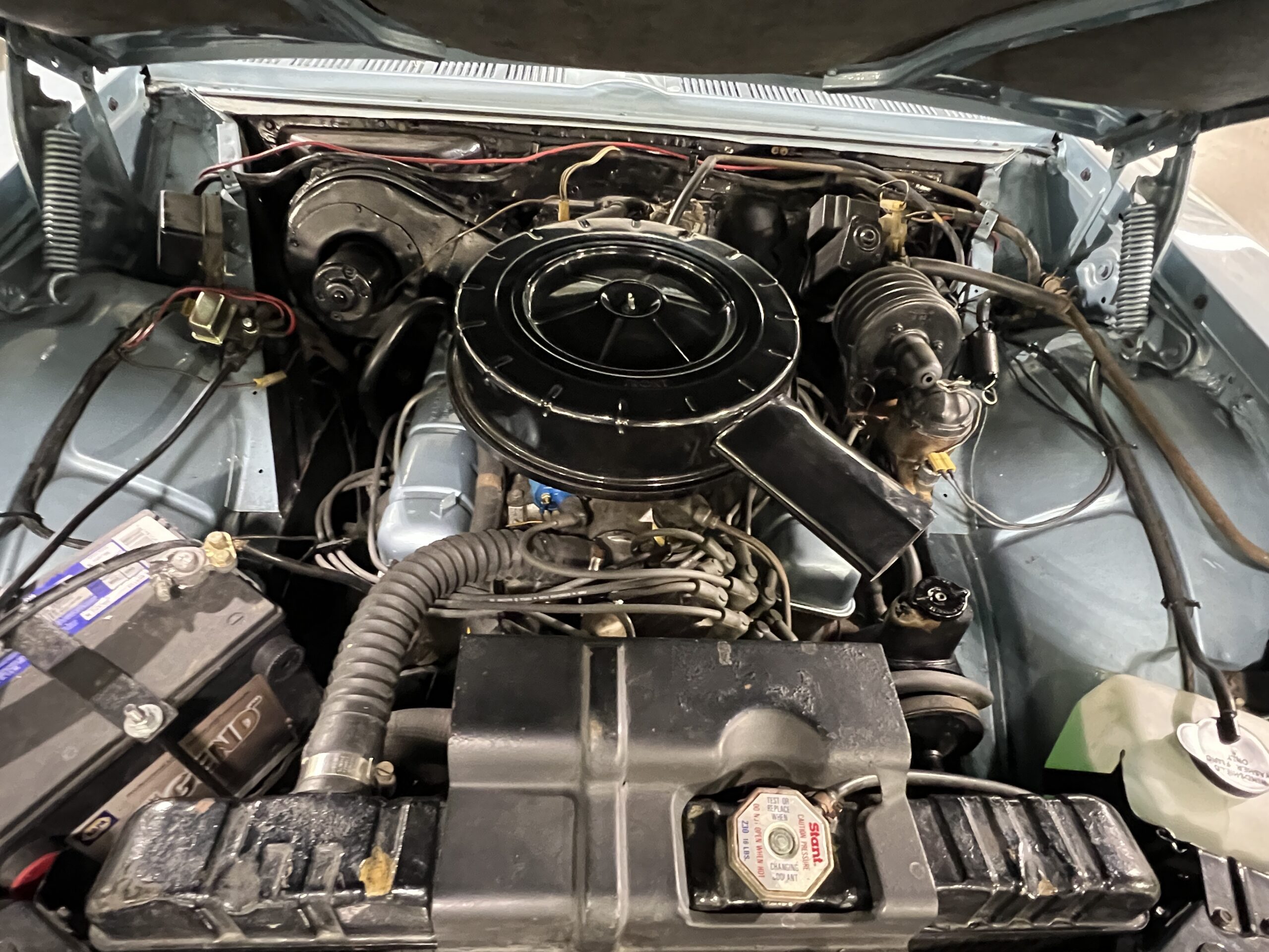 Photo 2023-11-25, 3 11 49 PM